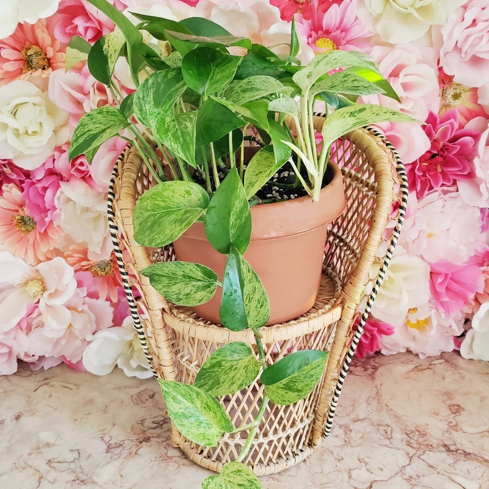 Vintage Rattan Doll Chair